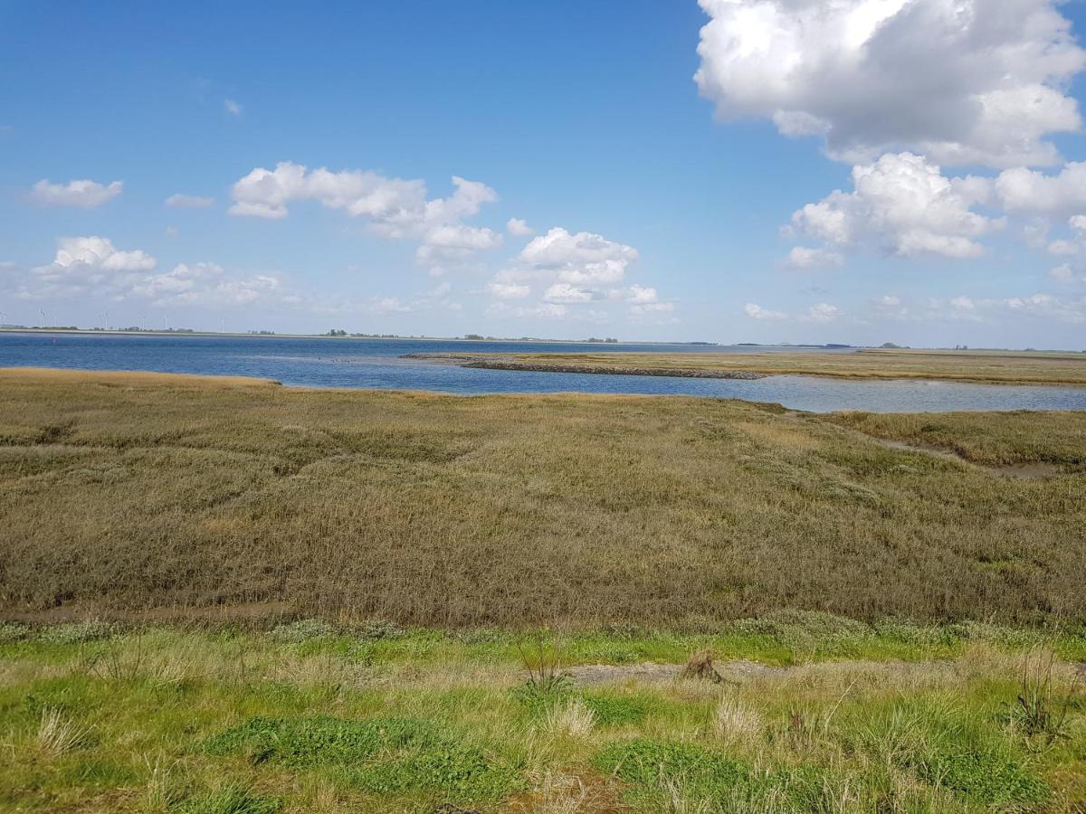 Vakantiehuis In Zeeland シント・アナラント エクステリア 写真