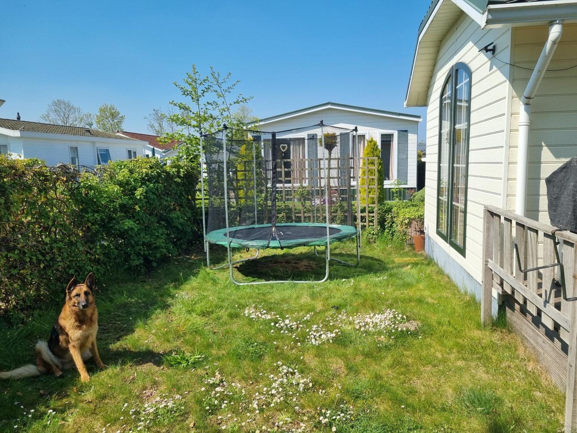 Vakantiehuis In Zeeland シント・アナラント 部屋 写真
